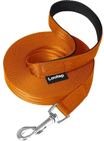 Loutep Trainingsleine für Hunde – 20 m (64 ft) Orange strapazierfähige Nylon Lange Leine Hundeleine mit gepolstertem Griff & robustem Drehhaken – Leine für Haustiergehorsamkeit