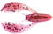 BAITFUEL Tiny PACA Craw Creature Bait Infused with Supercharged X55 Formula Gel | 3-Inch, Peanut Butter & Jelly