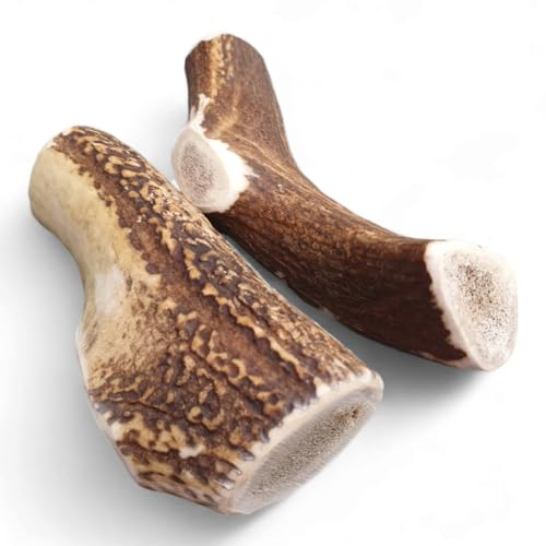 OGF® Set 2er - 1er ganze 151-220 g Hirschgeweih & 1er 151-220 g Damhirschgeweih Hundespielzeug, Geweihkausnack, Hirschhorn Kausnack hundekausnack Natur