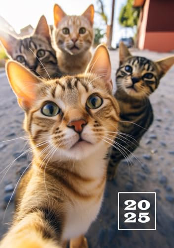 2025: 1 Woche auf 2 Seiten Kalenderbuch | Wochenplaner A5 Taschenkalender | Terminkalender Planer | Organizer Terminplaner | Buchkalender Jahresplaner | Wochenkalender Katze