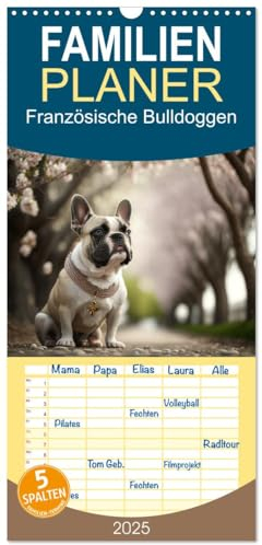 Familienplaner 2025 - Französische Bulldoggen mit 5 Spalten (Wandkalender, 21 cm x 45 cm), CALVENDO: Die französische Bulldogge ist eine kleine bis ... und muskolösen Körperbau. (CALVENDO Tiere)