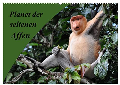 Planet der seltenen Affen (Wandkalender 2026 DIN A2 quer), CALVENDO Monatskalender: Bezaubernde Momentaufnahmen aus den Wäldern Indonesiens, Madagaskars und Malaysias (CALVENDO Tiere)