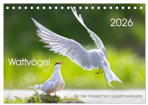 Wattvögel an der Friesischen IJsselmeerküste (Tischkalender 2026 DIN A5 quer), CALVENDO Monatskalender: Außergewöhnliche Aufnahmen von Wattvögel oder ... Friesischen IJsselmeerküste (CALVENDO Tiere)
