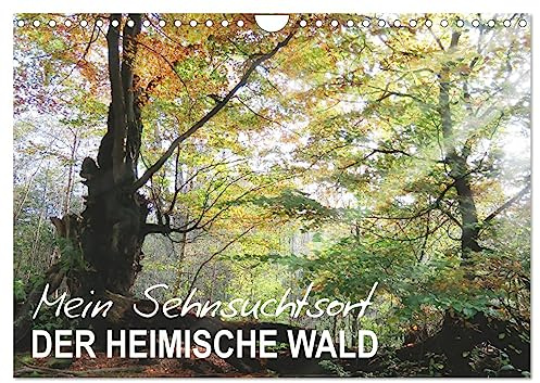Mein Sehnsuchtsort, der heimische Wald (Wandkalender 2026 DIN A4 quer), CALVENDO Monatskalender: Zauberhafte Naturfotografie im Wald (CALVENDO Natur)
