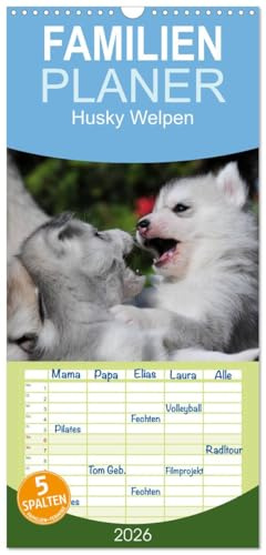 Familienplaner 2026 - Husky Welpen mit 5 Spalten (Wandkalender, 21 cm x 45 cm), CALVENDO: Siberian Husky Welpen sind wahre Schönheiten. Davon kann ... dieser Bilder überzeugen (CALVENDO Tiere)