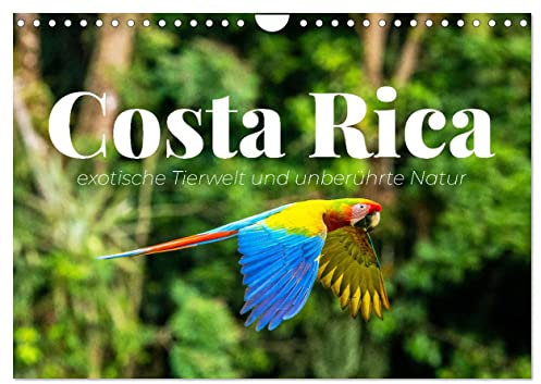 Costa Rica - exotische Tierwelt und unberührte Natur (Wandkalender 2024 DIN A4 quer), CALVENDO Monatskalender: Costa Ricas Schönheit in all seinen Facetten (CALVENDO Orte)