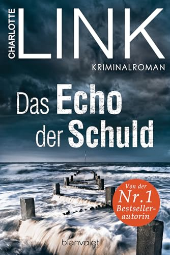 Das Echo der Schuld: Kriminalroman