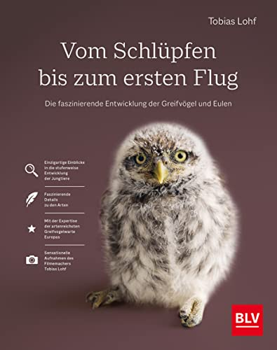 Vom Schlüpfen bis zum ersten Flug: Die faszinierende Entwicklung der Greifvögel und Eulen (BLV Vögel)