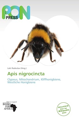 Apis nigrocincta: Clypeus, Mitochondrium, Kliffhonigbiene, Westliche Honigbiene