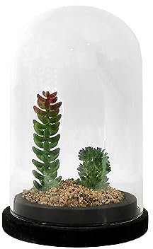 Silumen Plante Artificielle sous Cloche en Verre 13x19cm - Motif 4