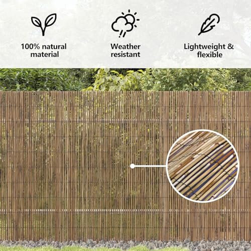 vidaXL Schilfrohrzaun Natur 300 x 180 cm Schilf, Garten und Terrasse, Rechteckiger Moderner Zaun, Robuste Sichtschutzmatte, Beiger Trennwand