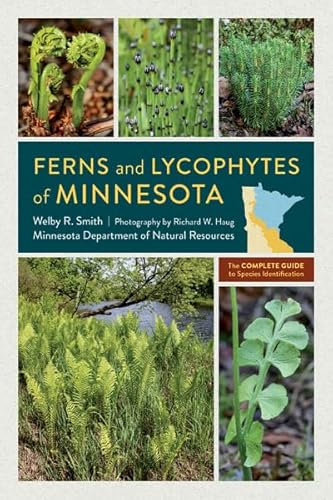 Ferns and Lycophytes of Minnesota: The Complete Guide to Species Identification