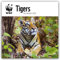 WWF Tigers – Tiger 2024: Original Carousel-Kalender [Mehrsprachig] [Kalender] (Wall-Kalender)