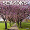 Seasons - Jahreszeiten 2021: Original Avonside-Kalender [Mehrsprachig] [Kalender] (Wall-Kalender)