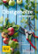 Obstgehölze schneiden: Schritt für Schritt zu reicher Ernte (GU Gartenpraxis)