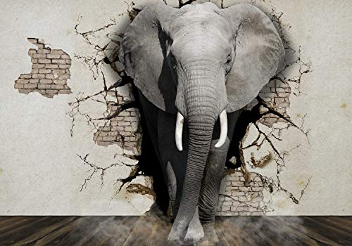 wandmotiv24 Fototapete Elefant aus Wand, XS 150 x 105cm - 3 Teile, Wanddeko, Wandbild, Wandtapete, Tier 3D M5907