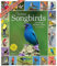 Audubon Songbirds and Other Backyard Birds Picture-A-Day Wall Calendar 2023: A Beautiful Bird Filled Way to Keep Track of 2023