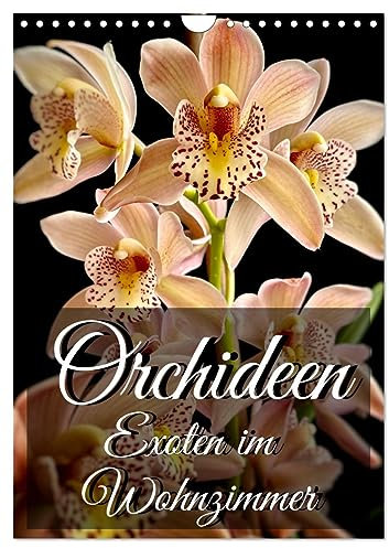 Orchideen - Exoten im Wohnzimmer (Wandkalender 2025 DIN A4 hoch), CALVENDO Monatskalender: Orchideen faszinieren mit ihren exotischen Blüten das ganze Jahr über. (CALVENDO Natur)