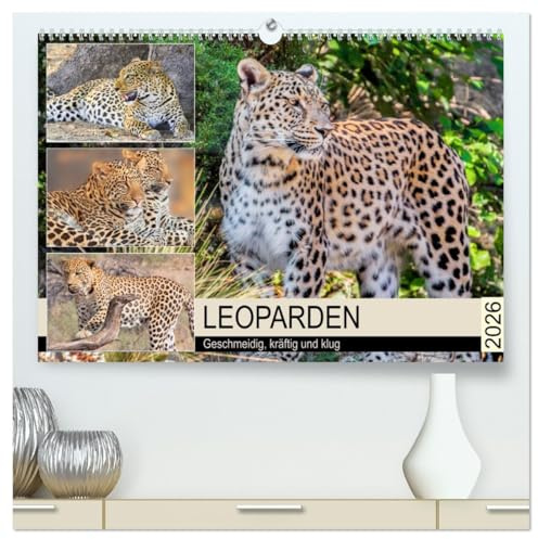 Leoparden. Geschmeidig, kräftig und klug (hochwertiger Premium Wandkalender 2026 DIN A2 quer), Kunstdruck in Hochglanz: Der Panthera pardus zählt zu den schönsten Raubkatze der Welt (CALVENDO Tiere)