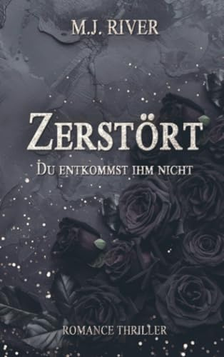 Zerstört - Du entkommst ihm nicht: Romance Thriller (Alison-Bishop-Reihe 2)