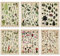 Set of 6 Plant Poster Vintage Botanical Prints 12 x 16 Inch Decorative Wrap Poster Tree Wall Art Picture Vintage Mushroom Decor Floral Nature Poster for Wall Cactus Posters Prints