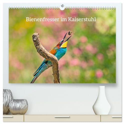 Bienenfresser im Kaiserstuhl (hochwertiger Premium Wandkalender 2026 DIN A2 quer), Kunstdruck in Hochglanz (CALVENDO Tiere)