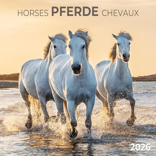 Pferde/Horses 2026: Kalender 2026 (Artwork Edition)