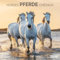 Pferde/Horses 2026: Kalender 2026 (Artwork Edition)
