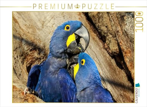 CALVENDO Puzzle Hyazinth-Aras (Anodorhynchus hyacinthinus) | 1000 Teile Lege-Größe 64 x 48 cm Foto-Puzzle für glückliche Stunden