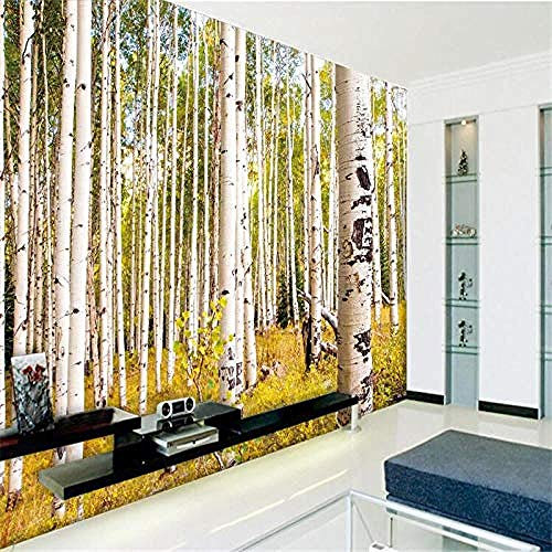 Foto Wallpaper Flash Silber Seide Vlies Papier Herbst Birke Studie Schlafzimmer Wohnzimmer Sofa TV Große Wandtapete Tapete wandpapier fototapete 3d effekt tapeten Wohnzimmer Schlafzimmer-300cm×210cm
