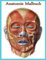 Anatomie Malbuch: Das Malbuch zur Anatomie und Physiologie des Menschen