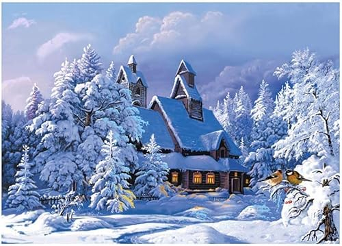 DOUKOYEE Diamond Painting für Erwachsene Kinder DIY 5D Diamant Painting Blume Tiere Katze Landschaft Dinosaurier Malen nach Zahlen Diamant Anfänger Home Wall Decor 30x40cm (J-Winter Schnee)