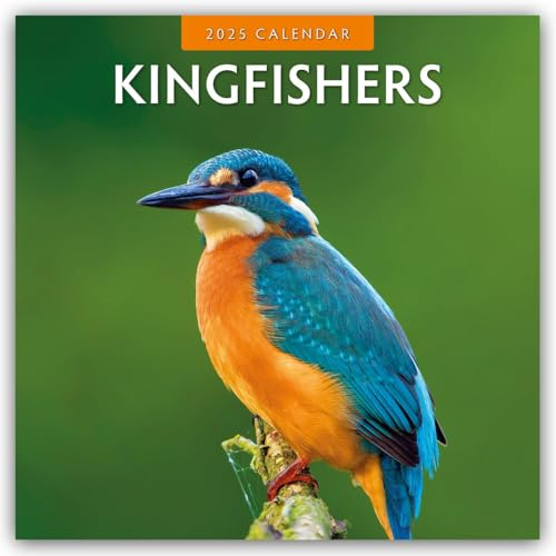 Kingfishers – Eisvögel 2025 – 16-Monatskalender: Original Red Robin Publishing Ltd-Kalender [Mehrsprachig] [Kalender] (Wall-Kalender)