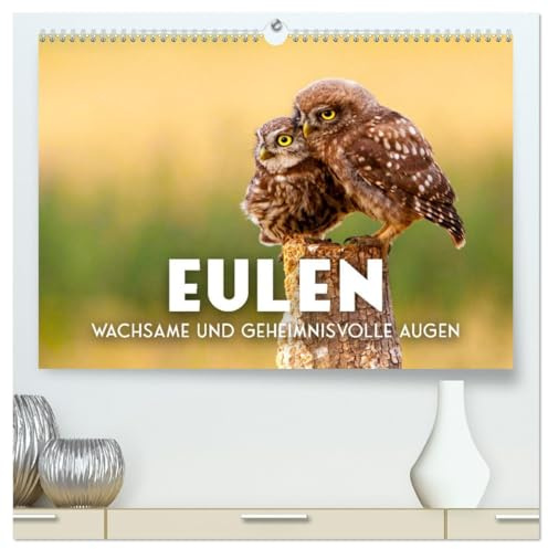 Eulen - Wachsame und geheimnisvolle Augen (hochwertiger Premium Wandkalender 2026 DIN A2 quer), Kunstdruck in Hochglanz: Die Vögel der Weisheit. (CALVENDO Tiere)