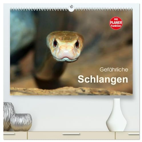 Gefährliche Schlangen (hochwertiger Premium Wandkalender 2026 DIN A2 quer), Kunstdruck in Hochglanz: Gift- und Würgeschlangen der Welt im Portrait (CALVENDO Tiere)