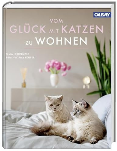 Vom Glück mit Katzen zu Wohnen: Besondere Katzenfreunde und ihre Wohnungen
