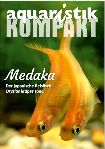 Medaka - aquaristik KOMPAKT - Der japanische Reisfisch Oryzias latipes spec.