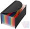 Uquelic Mini Accordion Receipt Organiser - 13 Pockets Expanding Coupons Storage Plastic Receipt Folder Document Wallet for Bills/Coupons/Tax Receipts (10 x 5 inches) (Black)