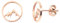 Nuoli® Berg Ohrringe Rosegold (Durchmesser: 10mm) Ohrstecker für Frauen & Mädchen, Ohrringe Berge aus Edelstahl