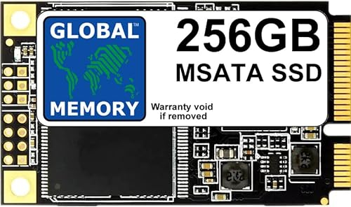 GLOBAL MEMORY 256 GB MSATA Solid State Drive (SSD) für Laptops/Desktop-PCs/Server/Workstationen/Motherboards