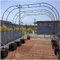 Großer Gartenbogen, extra breit, 350 cm, Gartenlaube, Torbogen für Rosen, Kletterpflanzen, Stütze für Hochzeitsbogen, Pergola, Rankgitter, Weinreben, Schwarz, 140 cm x 230 cm