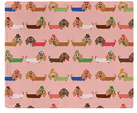 YISUMEI Decke Herrliche Dackel Kuscheldecken Weich Flanell Fleecedecke Bettüberwurf(150x200cm)