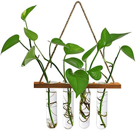 YHNJI Hängender Glas-Hydrokultur-Pflanzgefäß, Hydrokultur-Reagenzglas-Vase, Pflanzen-Terrarium, Pflanzen-Anzuchtstation für Zuhause, Büro, Wandbehang, Dekor