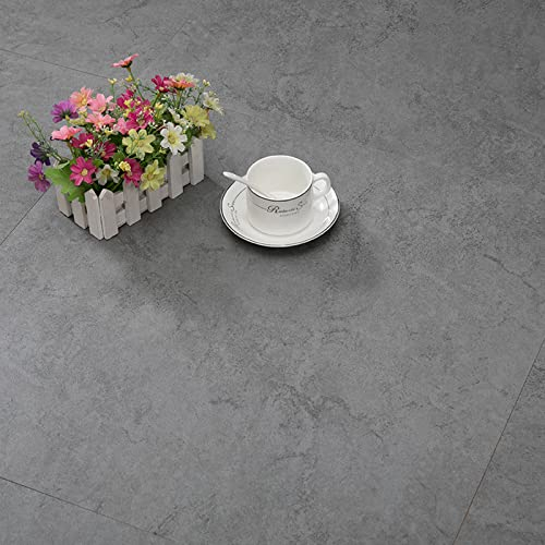 HARICSET Venylbodenbelag klick Vinyl-Fliesen Vinylboden Dielenboden Dünn Fliesen für Fußbodenheizung Wasserdicht(Size:10PCS,Color:5001)