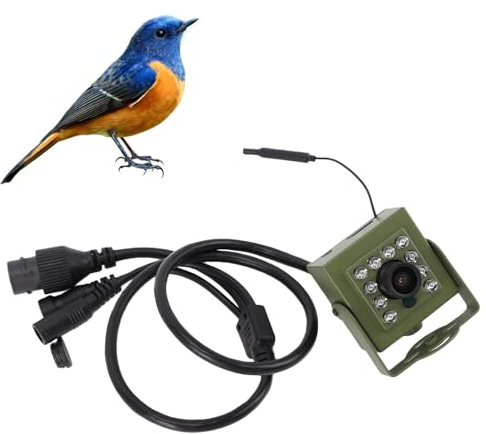 Vogelhäuschen-Kamera für den Außenbereich, Intelligente HD-Vogelbeobachtungskamera, Upgrade 10 LED-Nachtsicht-Bewegungserkennung, WLAN-Vogelhauskamera für Birdhouse, (IMX307