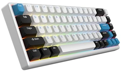ARBITER Polar 65 - CNC Mechanical Gaming Keyboard - Magnetic Salon Effect Switches, CNC Aluminum Frame, Quick Key, 65% Compact, Bright RGB, Double Shot PBT Keys, Color