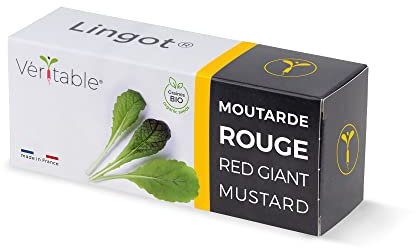 Lingot® Véritable® (Blattgemüse, Red Giant Mustard)
