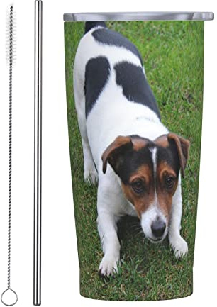 Jack Russell Dog Stainless Steel Mug With Lid And Straw Portable 20 Oz Travel Cup Insulated Vacuum Tumbler Cup Gifts Mug