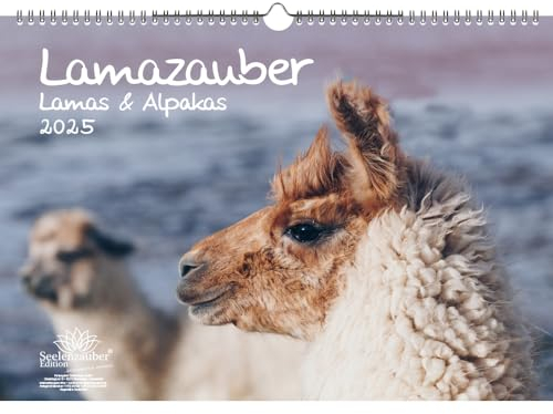 Lamazauber DIN A3 Kalender für 2025 Lama Alpaka - Seelenzauber