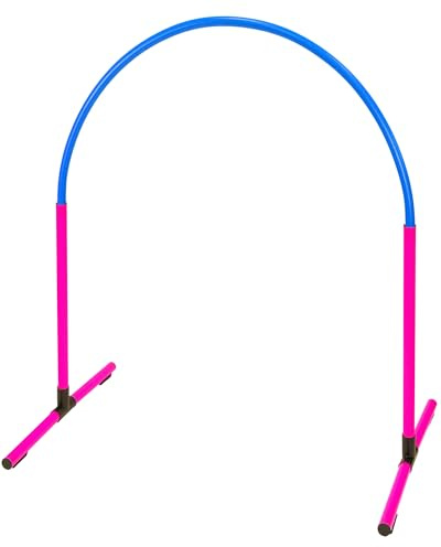 SPORTIKEL24 Hoopers Hoop – wetterfest, VDH-konform & farbig – mit Stecksystem für sicheres Hundetraining – aus robustem Kunststoff – Flexibler Hundesport-Reifen mit Stecksystem – Pink/Blau